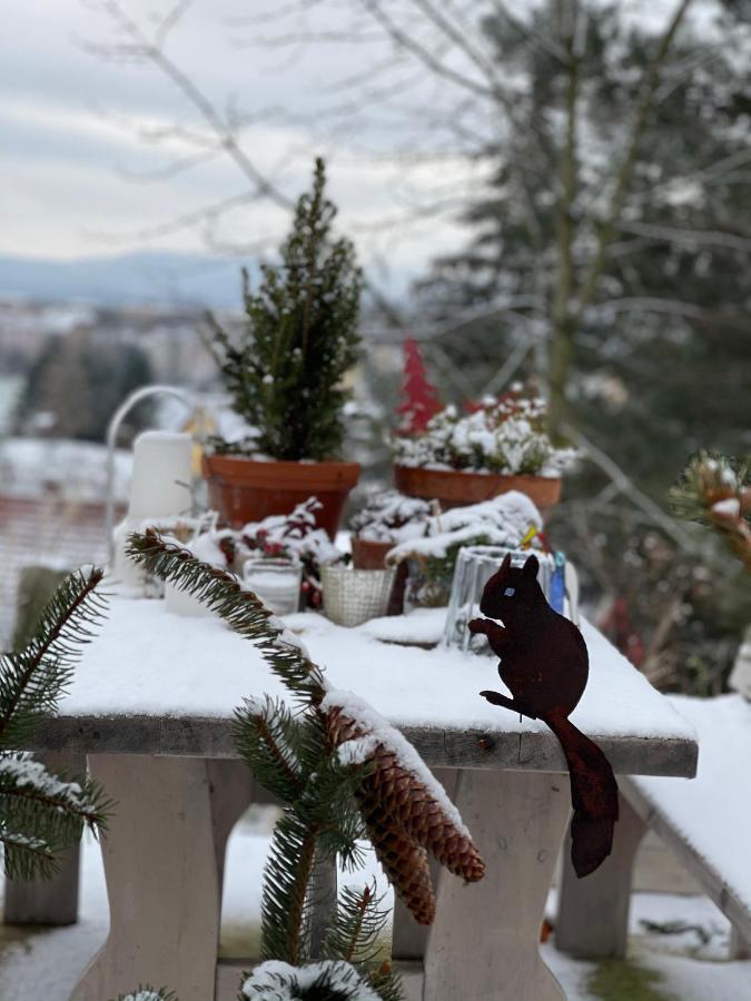 Farmhouse Eckartsberg Im Zittauer Gebirge - Ferienwohnung Mit 2 Schlafzimmern, Terrasse Und Wallbox Mittelherwigsdorf المظهر الخارجي الصورة